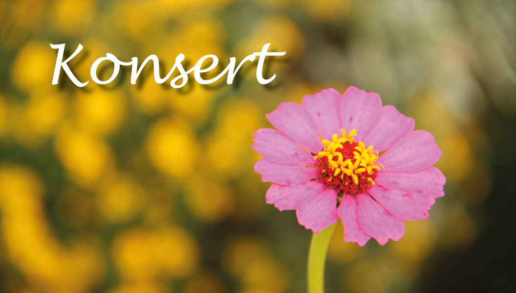 sommarblomma och texten