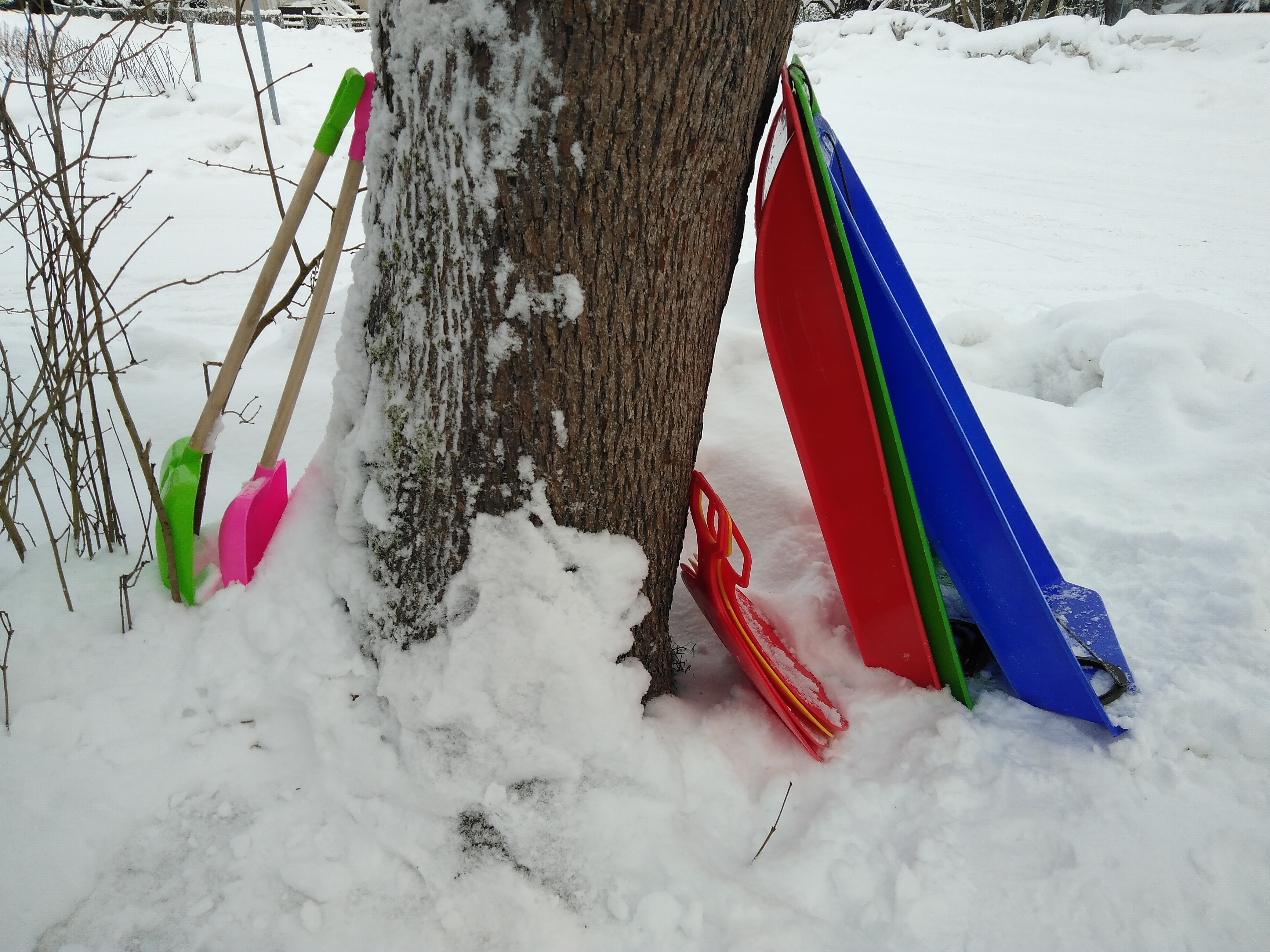 Spadar och pulkor i en snödriva, lutade mot ett träd.